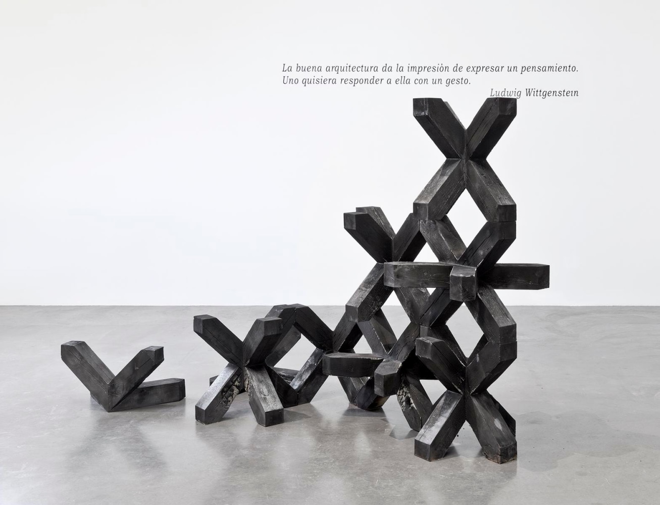 celos&amp;iacute;a (madera), 2012

9 m&amp;oacute;dulos de madera quemada

180 x 270 x 130 cm

&amp;nbsp;

&amp;nbsp;