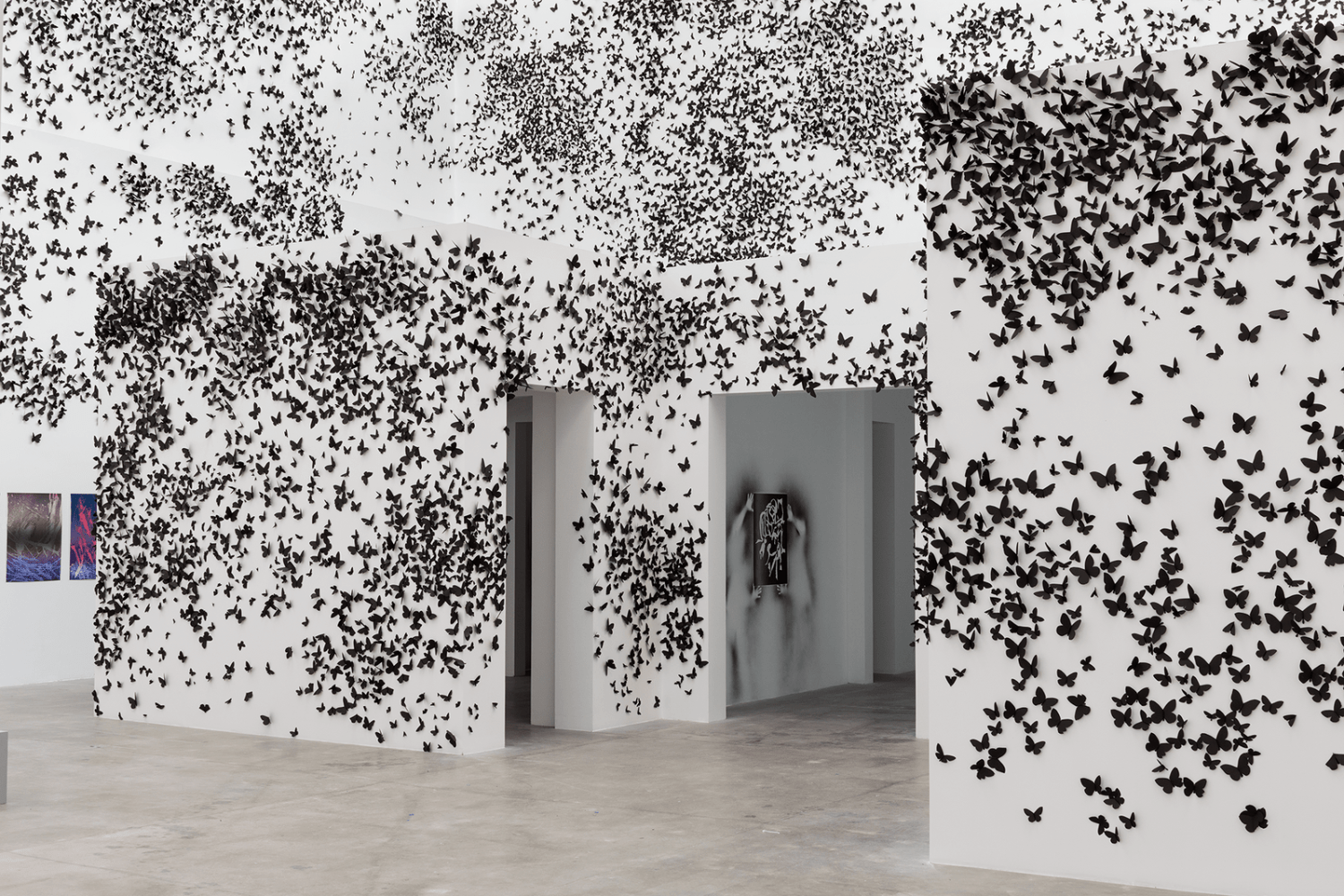 black cloud, 2007-2018
on site installation. 45,000 black paper cutout moths affixed to the walls of large interior spaces

variable dimensions

installation view of&amp;nbsp;axiomas para la acci&amp;oacute;n,&amp;nbsp;muac museo universitario arte contempor&amp;aacute;neo, mexico city, 2018

&amp;nbsp;

&amp;nbsp;