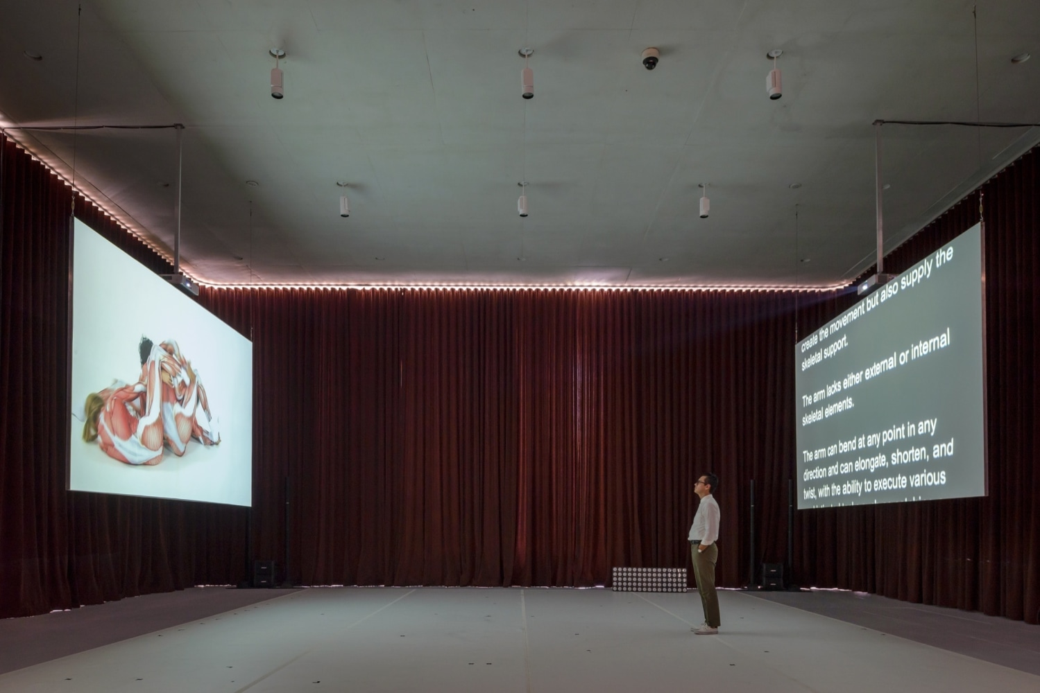 installation view&amp;nbsp;from a to b via c,&amp;nbsp;museo jumex, 2014.