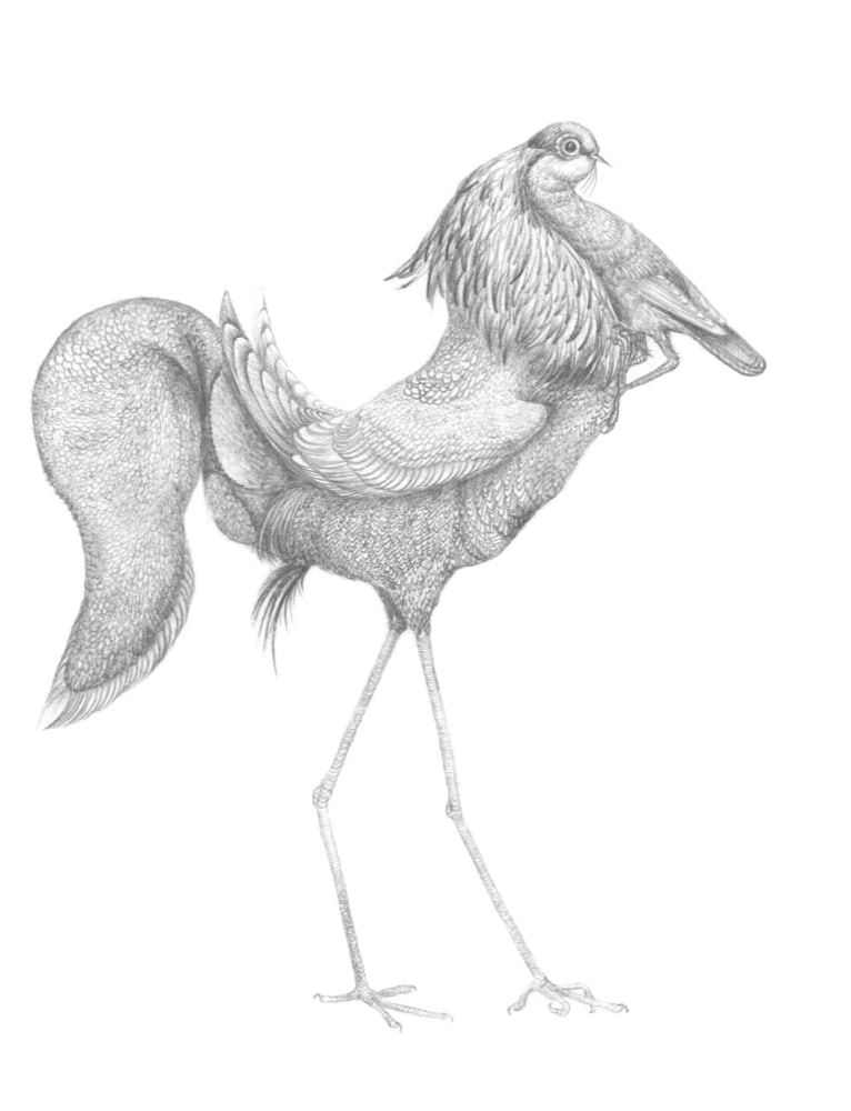 bourgeois hen, 2009&amp;nbsp;

dibujo sobre papel

61 x 38.5 cm