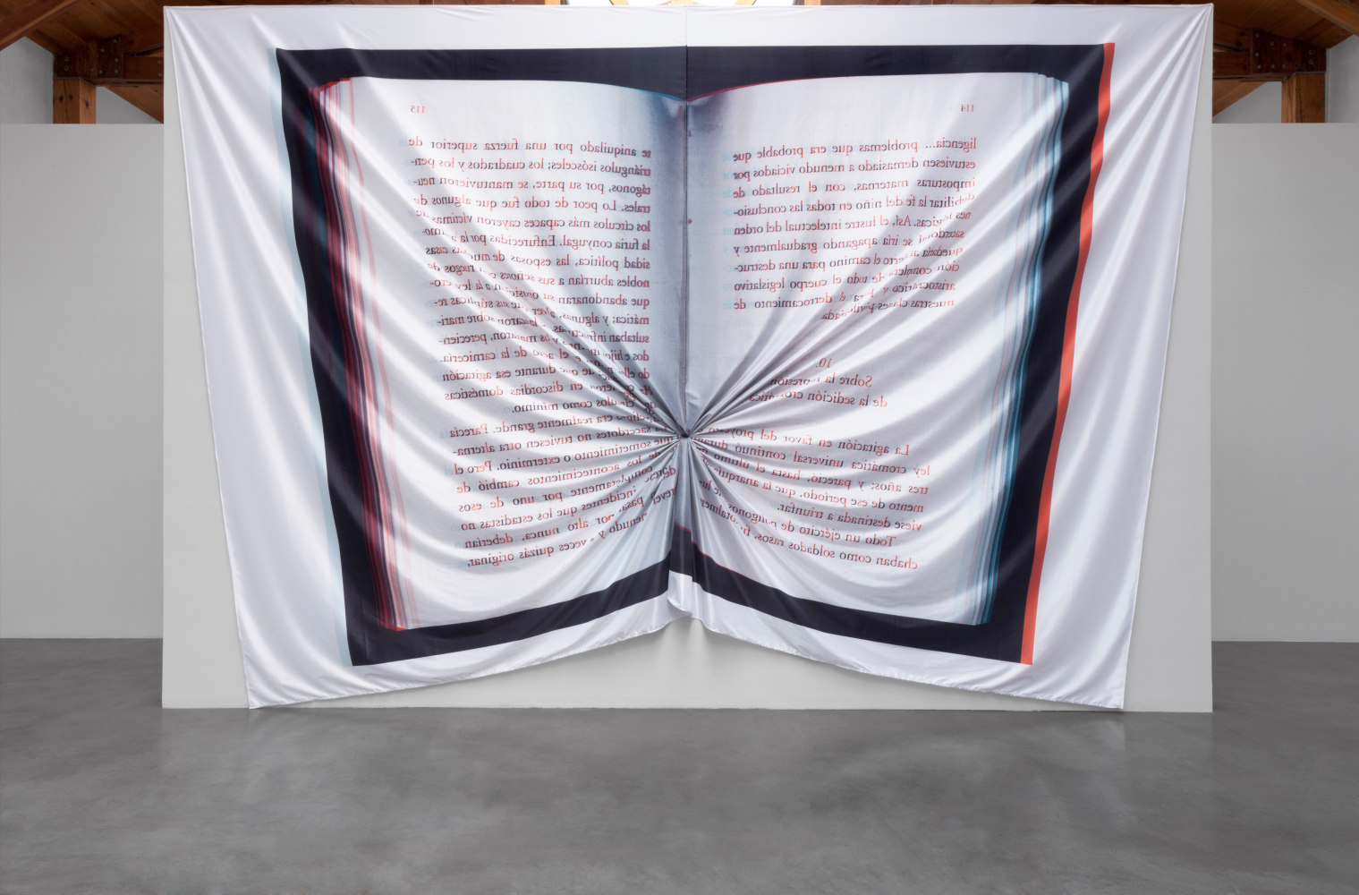 flat hole, 2012
digital print on fabric
157.48 x 236.22 in.

&amp;nbsp;

&amp;nbsp;