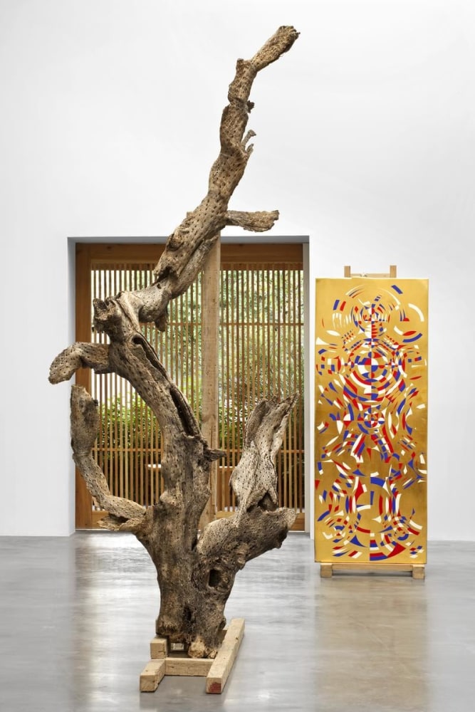 	gabriel orozco, kurimanzutto, mexico city, 2009