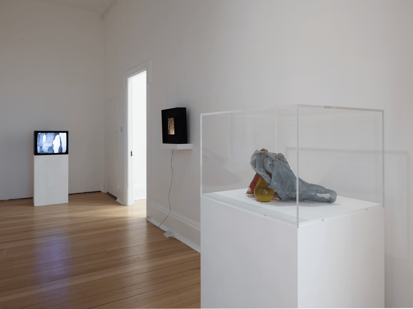 signals: if you like i shall grow, kurimanzutto presentada por thomas dane gallery, londres, 2018