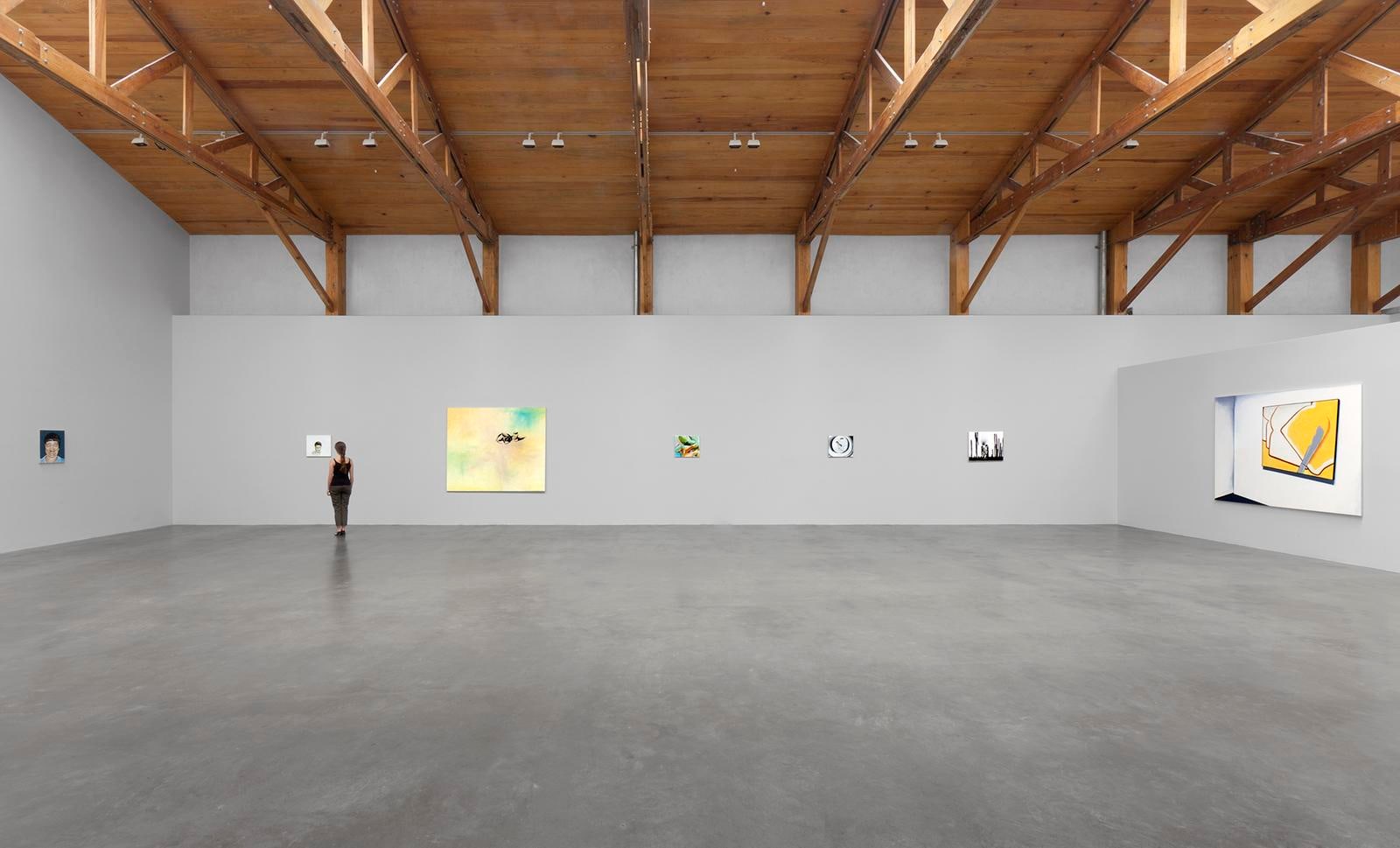 	wilhelm sasnal,&amp;nbsp;kurimanzutto, mexico city, mexico, 2011