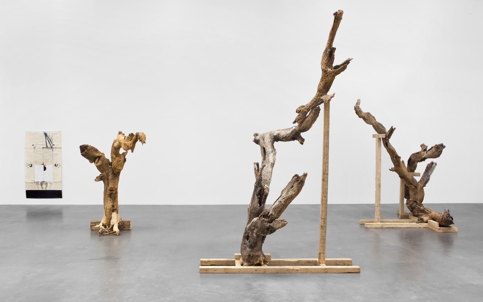 	gabriel orozco, kurimanzutto, mexico city, 2009