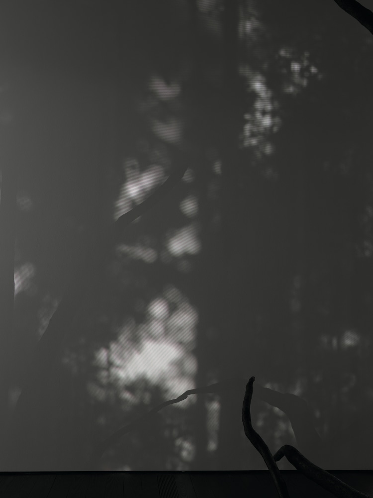 penumbra&amp;rdquo;,&amp;nbsp;2020; computer generated shadow animation, synch with sun-path in real time, sound
installation view of allora &amp;amp; calzadilla: specters of noon, menil collection, houston&amp;nbsp;