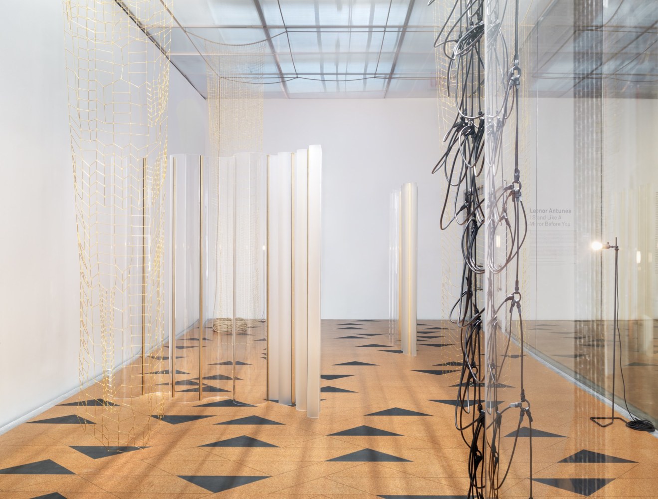 leonor antunes: i stand like a mirror before you, 2015

variable dimensions

installation view, new museum, new york, 2015

&amp;nbsp;