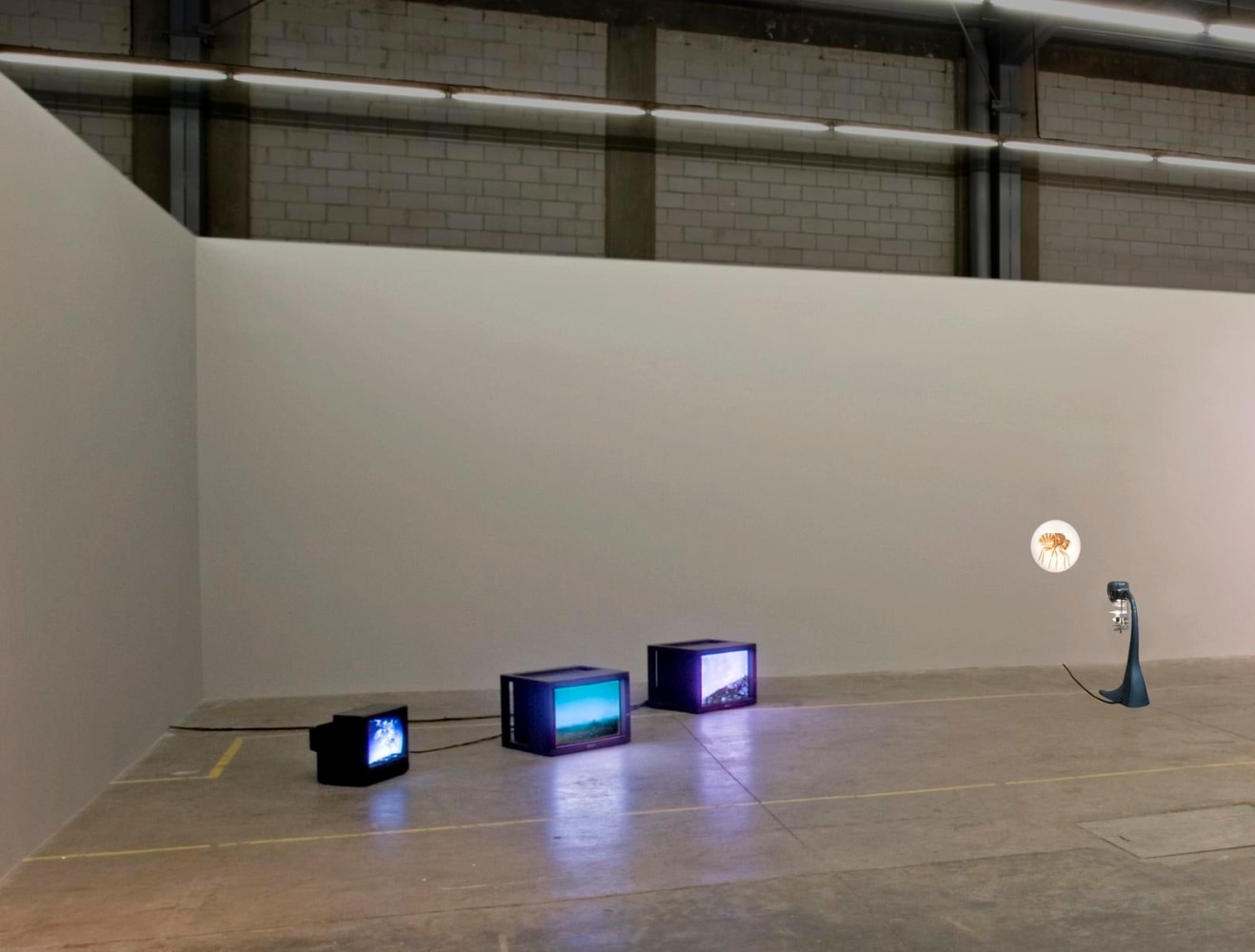 	la venganza del elefante, kurimanzutto, mexico city, 2007