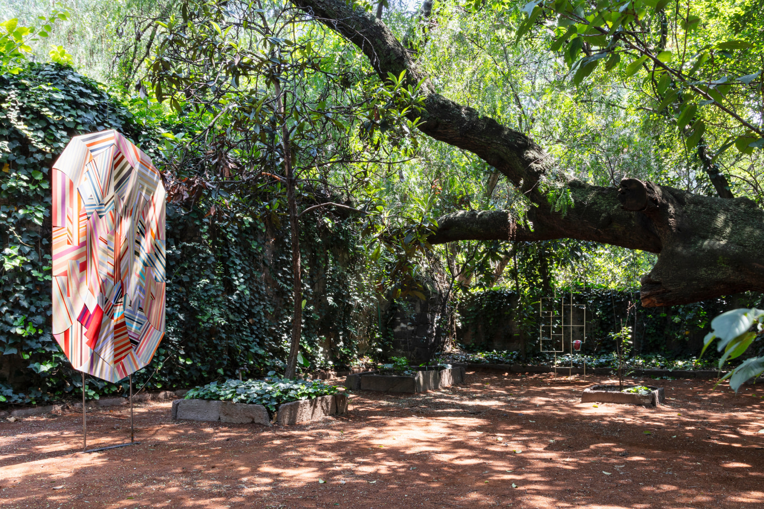 sof&iacute;a t&aacute;boas - dia cron&iacute;a