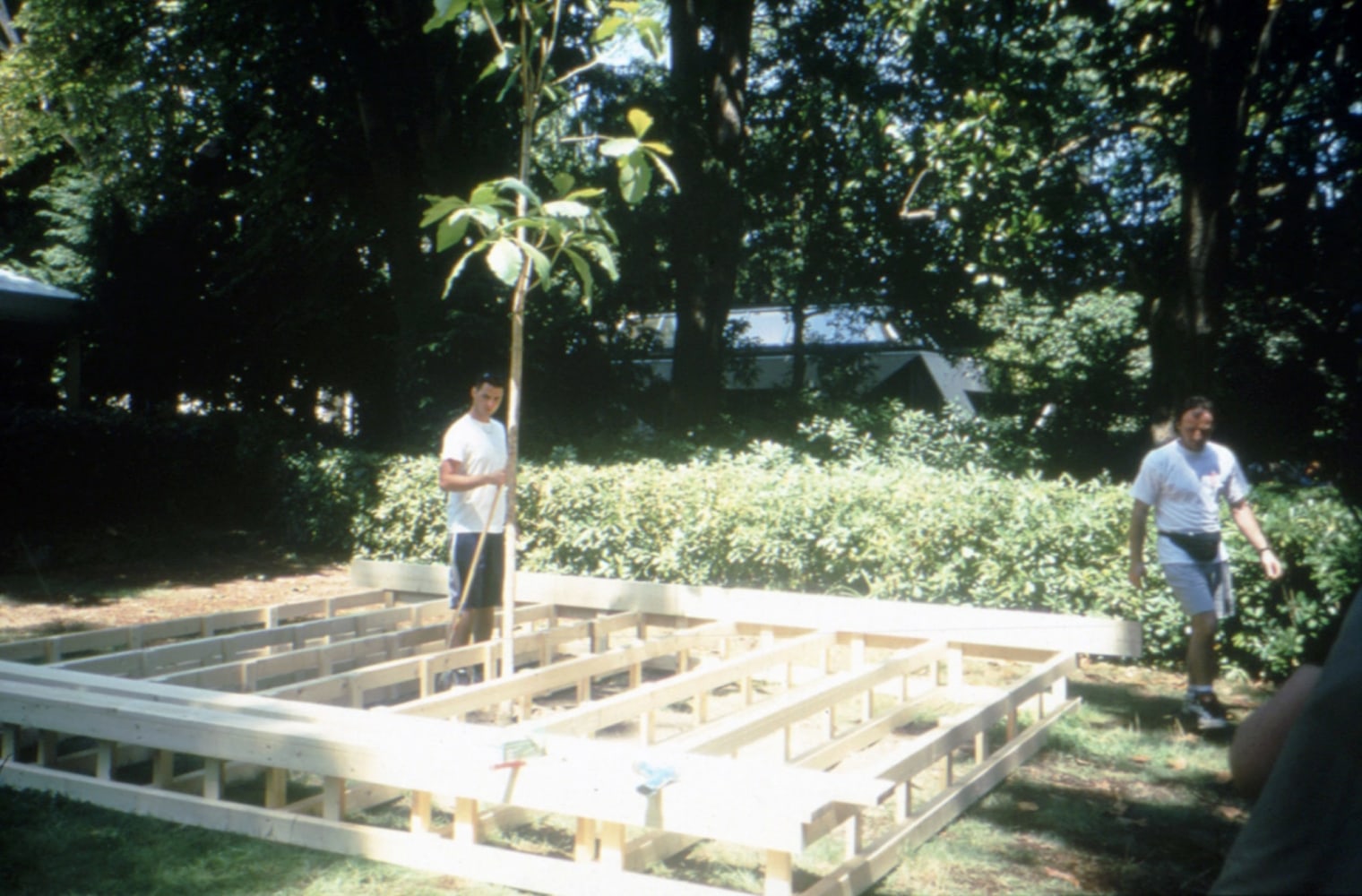 untitled 1999 (royal thai pavilion), 1999

wooden platform, teak tree, chalkboard, chalk, posters, advertisements, envelopes, invitation cards, flags, performance schedule

variable dimensions

&amp;nbsp;