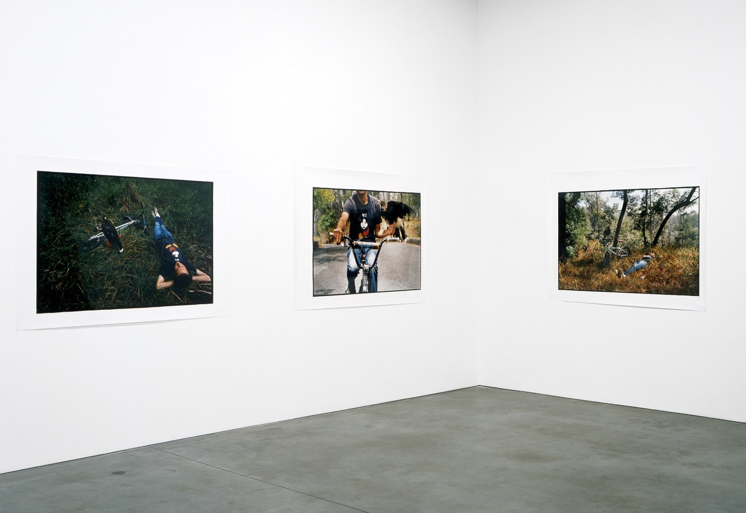 vista de instalaci&amp;oacute;n&amp;nbsp;forcing forces of nature, andrea rosen gallery, 2003