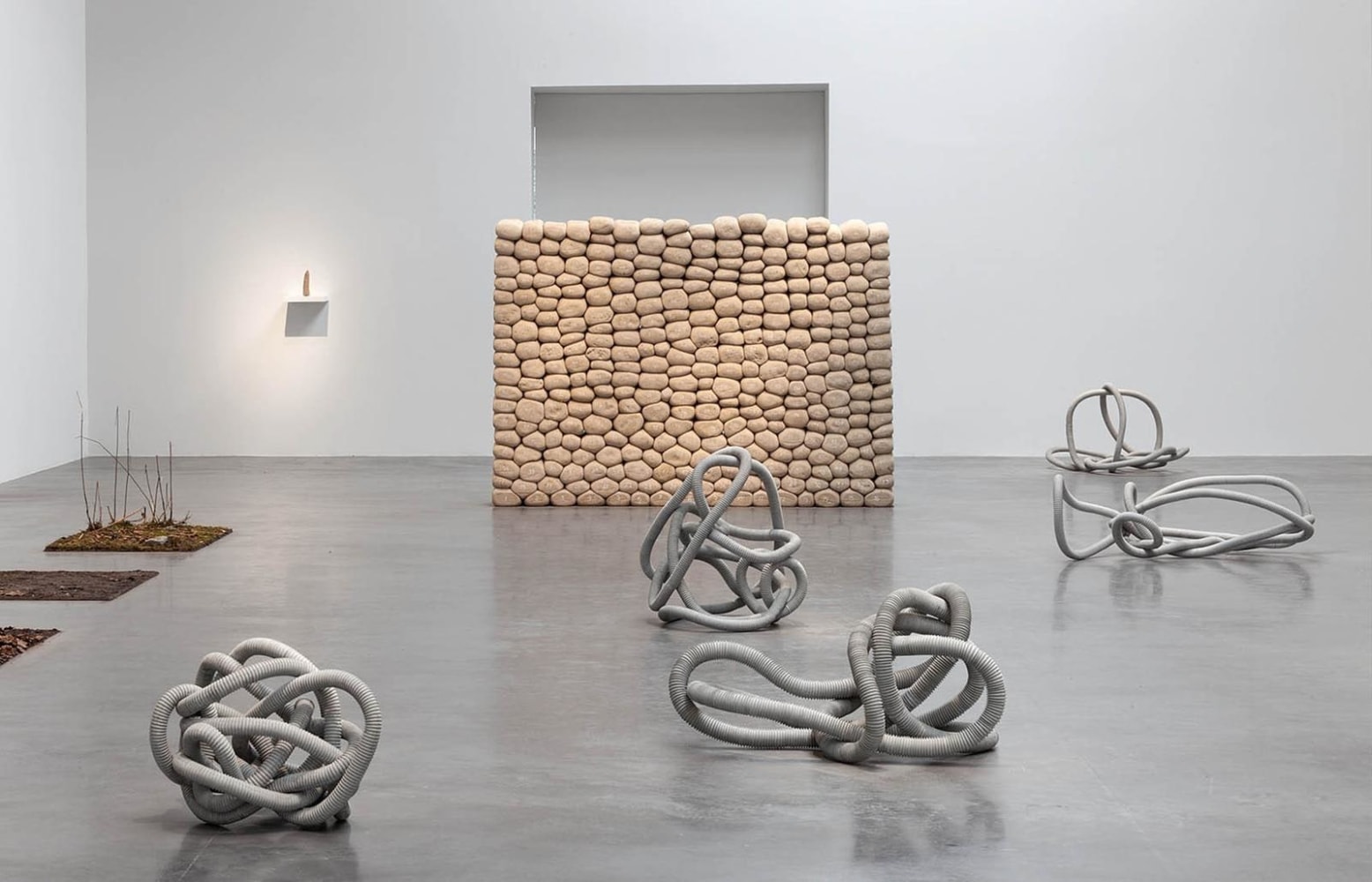 	dami&amp;aacute;n ortega, kurimanzutto, mexico city, 2011