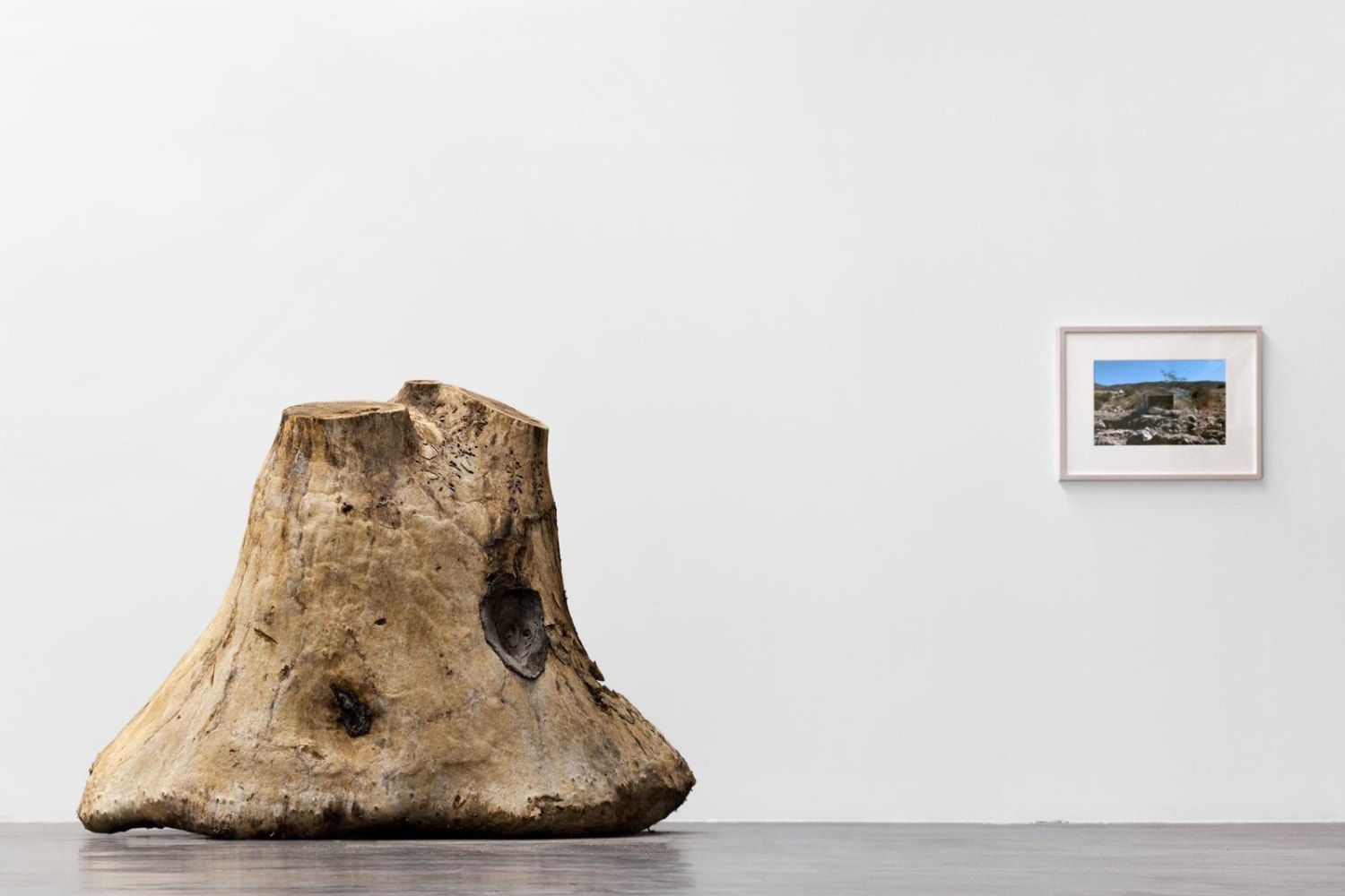 	gabriel orozco, kurimanzutto, mexico city, 2009