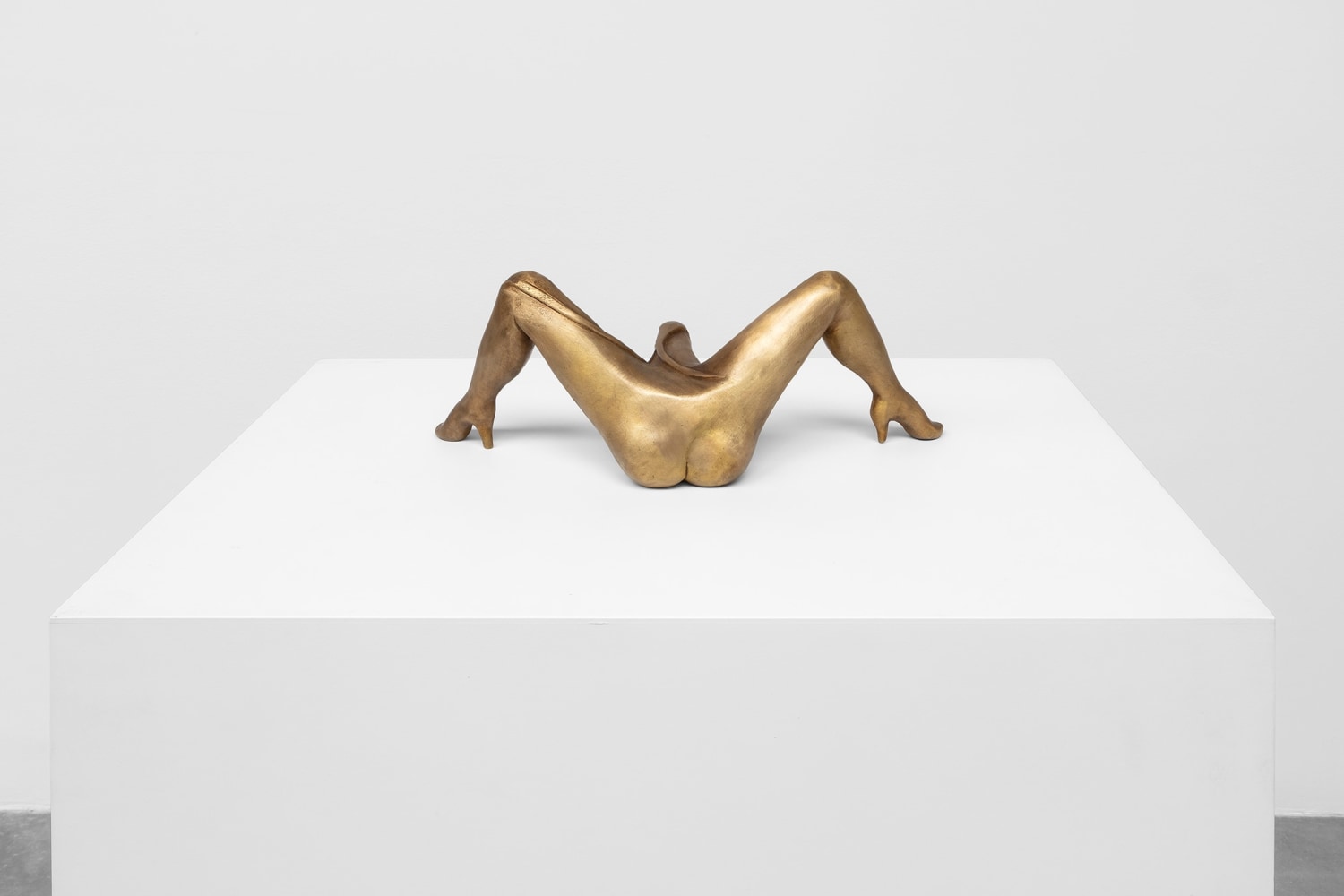 b&amp;aacute;rbara s&amp;aacute;nchez-kane, un cuerpo una instituci&amp;oacute;n, 2021