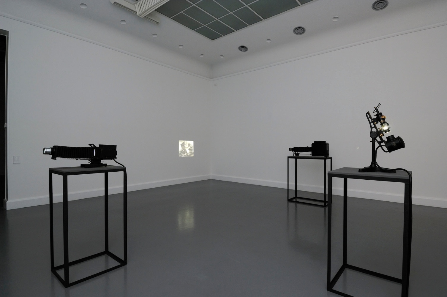 like me, 2007

proyecci&amp;oacute;n de linterna m&amp;aacute;gica, linterna m&amp;aacute;gica y portaobjetos de vidrio circa 1900 iluminado con fibra &amp;oacute;ptica

39 x 29 x 72 cm