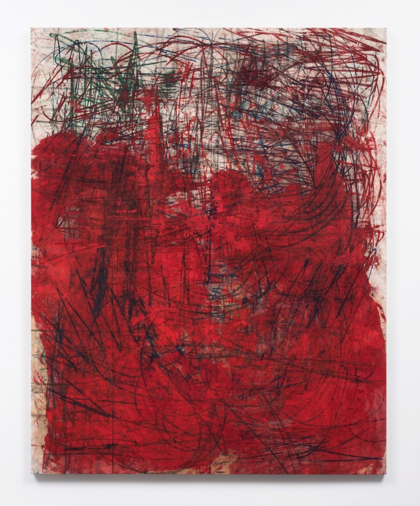 (untitled) catalyst, 2018

&amp;oacute;leo y grafito sobre lienzo

245 x 195 cm.