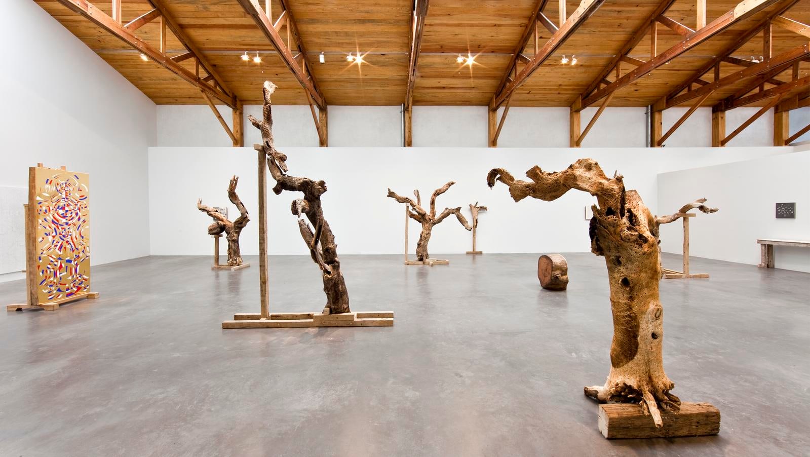 	gabriel orozco, kurimanzutto, mexico city, 2009