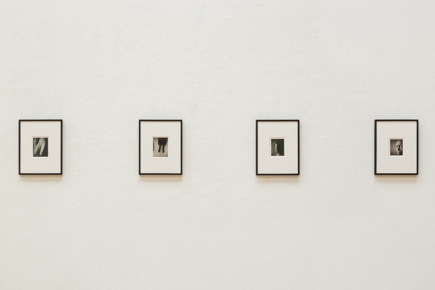 patti smith, wing, san francisco art institute, san francisco, 2019