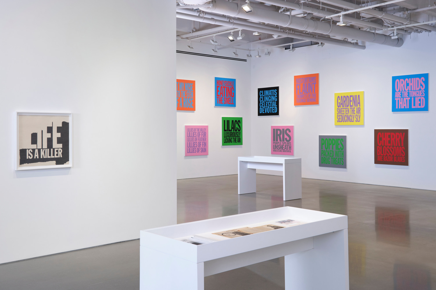 vista de instalaci&amp;oacute;n de&amp;nbsp;john giorno: jasmine burn, kurimanzutto nueva york, 2024. foto: zach hyman&amp;nbsp;