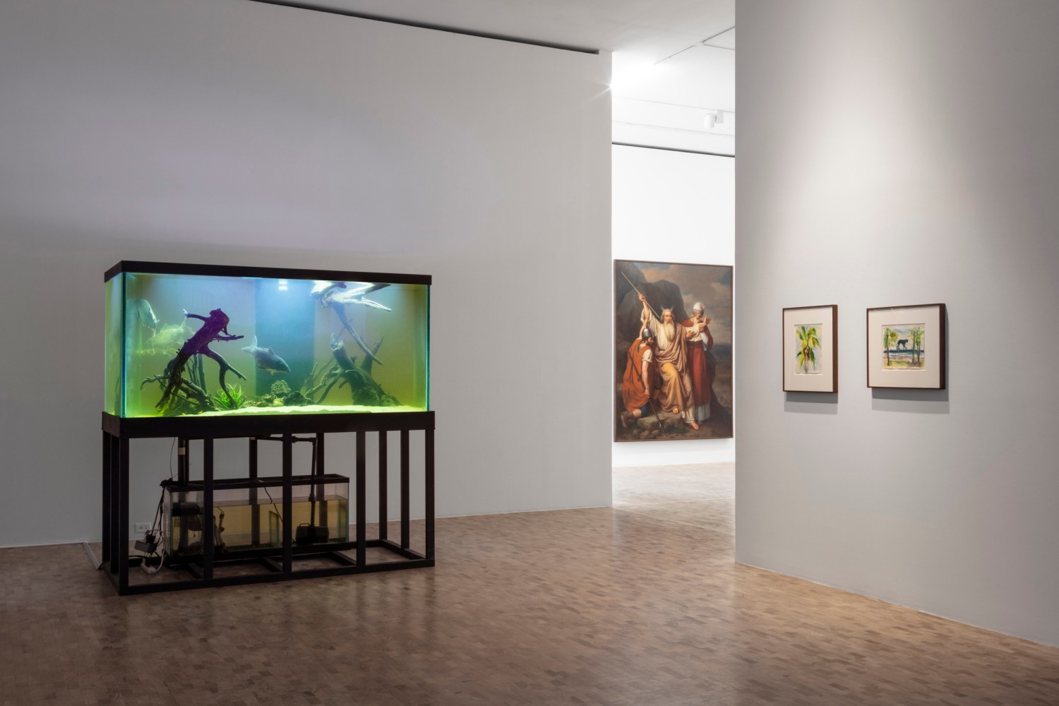 vista de instalaci&amp;oacute;n materia est&amp;eacute;tica disponible, museo tamayo, 2022. foto: gerardo landa estudio