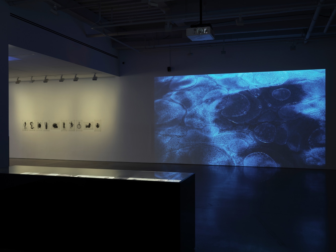 installation view soundwalk collective &amp;amp; patti smith: correspondences, kurimanzutto new york, 2025. photo: zach hyman