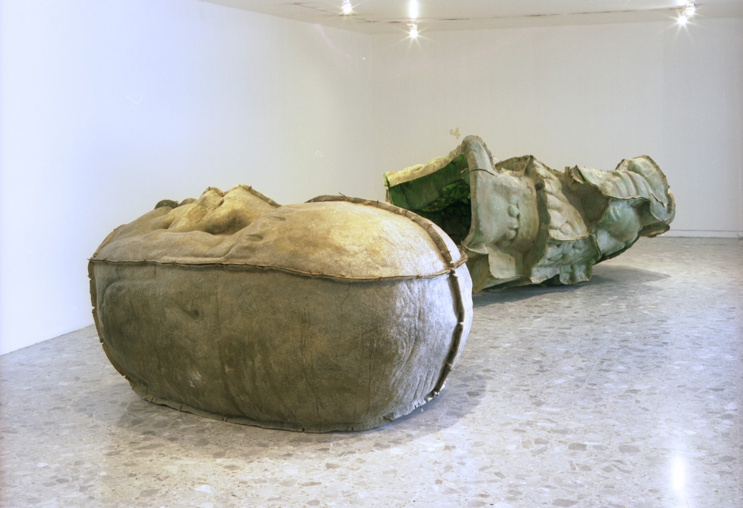 estas ruinas que ves, 2006
installation view at museo de arte carrillo gil, mexico city, 2006&amp;nbsp;

&amp;nbsp;