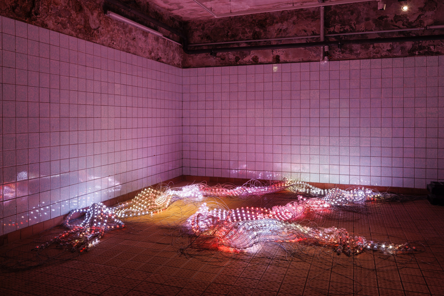 fundamental attribution error, 2023. vista de instalaci&amp;oacute;n en schinkel pavillon, berl&amp;iacute;n