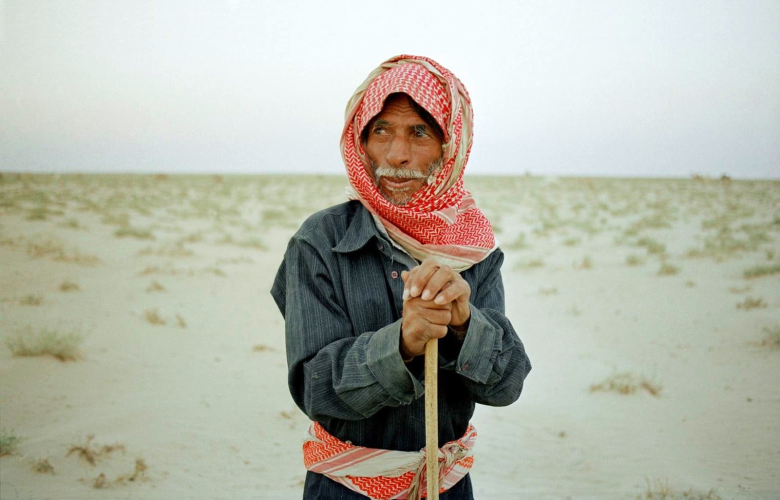 untitled, 2007
metheb el maasheh, a rwelah bedouin from the raja tribe (2001)
digital print
35.8 x 55.9 in.

&amp;nbsp;

&amp;nbsp;

&amp;nbsp;