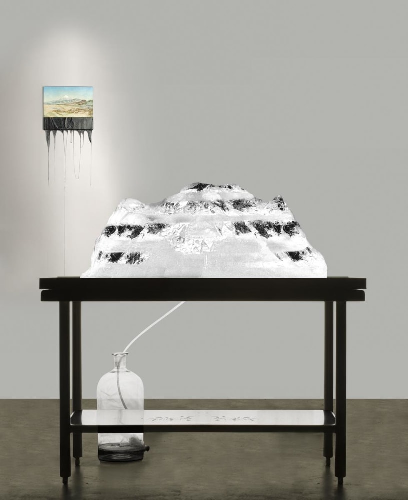 	la venganza del elefante, kurimanzutto, mexico city, 2007