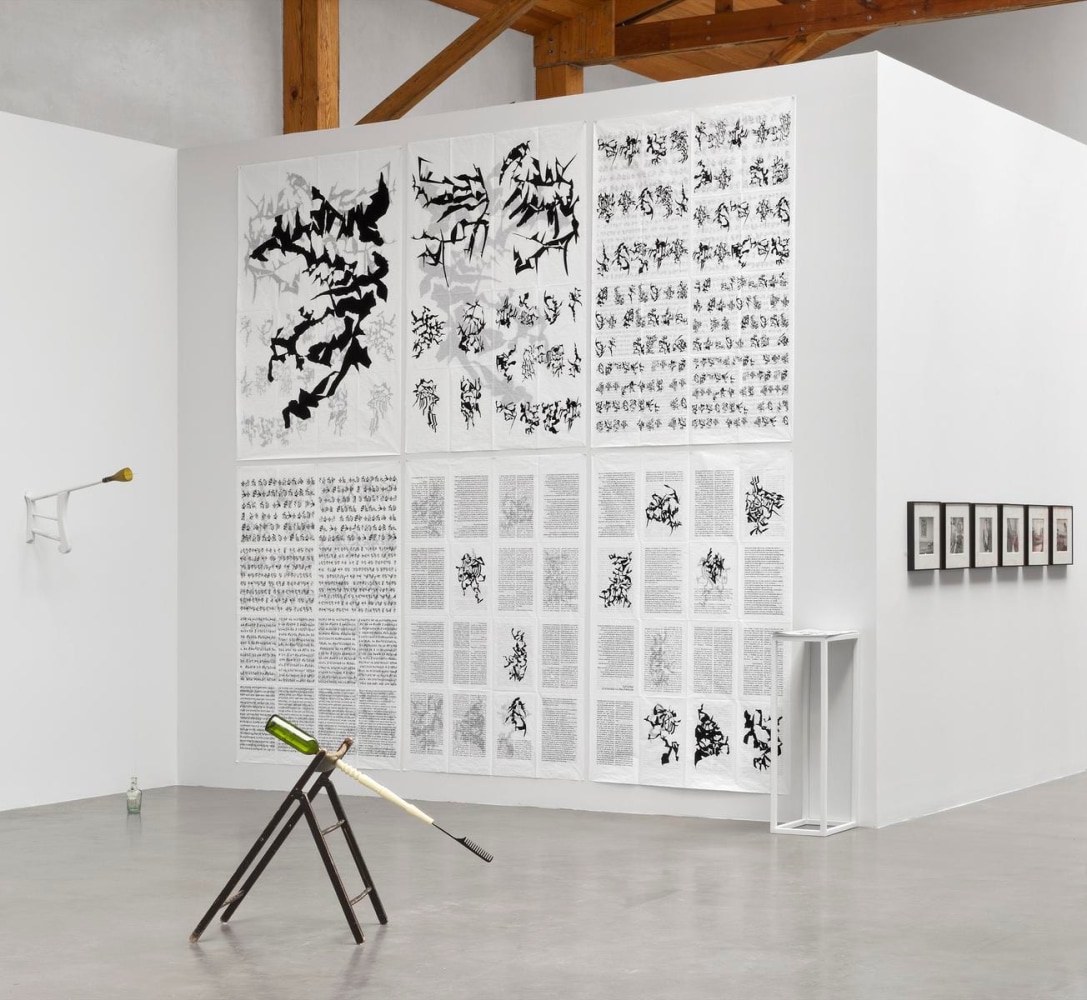 	estrella distante, kurimanzutto, mexico city, 2011