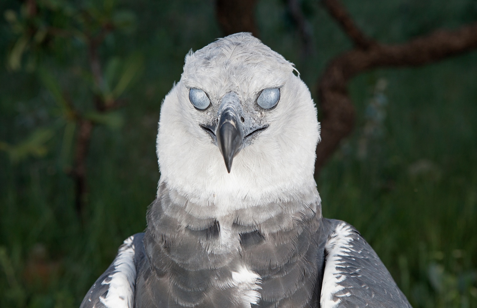 in the open 2, 2012 impresi&amp;oacute;n digital&amp;nbsp;39 3/8 x 70 7/8 in.