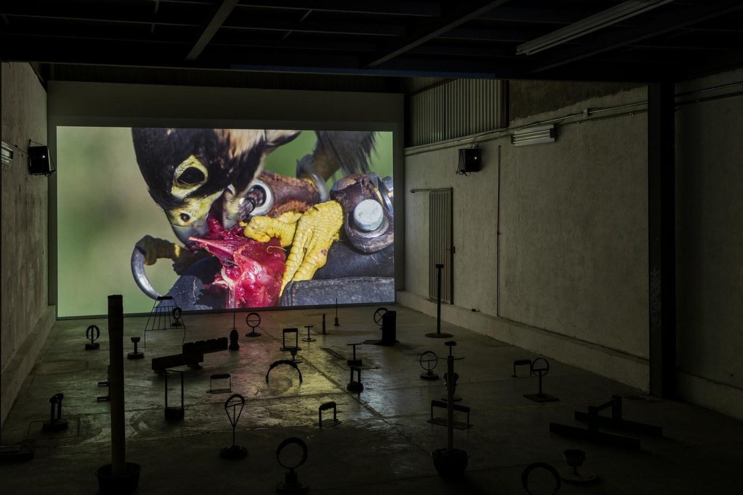 	miguel calder&amp;oacute;n,&amp;nbsp;ca&amp;iacute;da libre, 2017