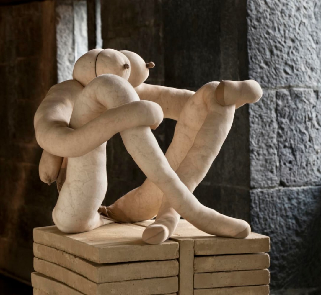 hoolian, 2012
alambre de aluminio cubierto con cinta adhesiva, algod&amp;oacute;n natural, medias de lycra, ladrillos de adobe
47 x 62 x 58 cm

&amp;nbsp;

&amp;nbsp;