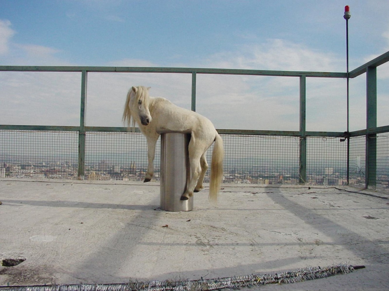 
no barragan no cry, 2002
color photograph
24.80 x 30.70 in

&amp;nbsp;

&amp;nbsp;