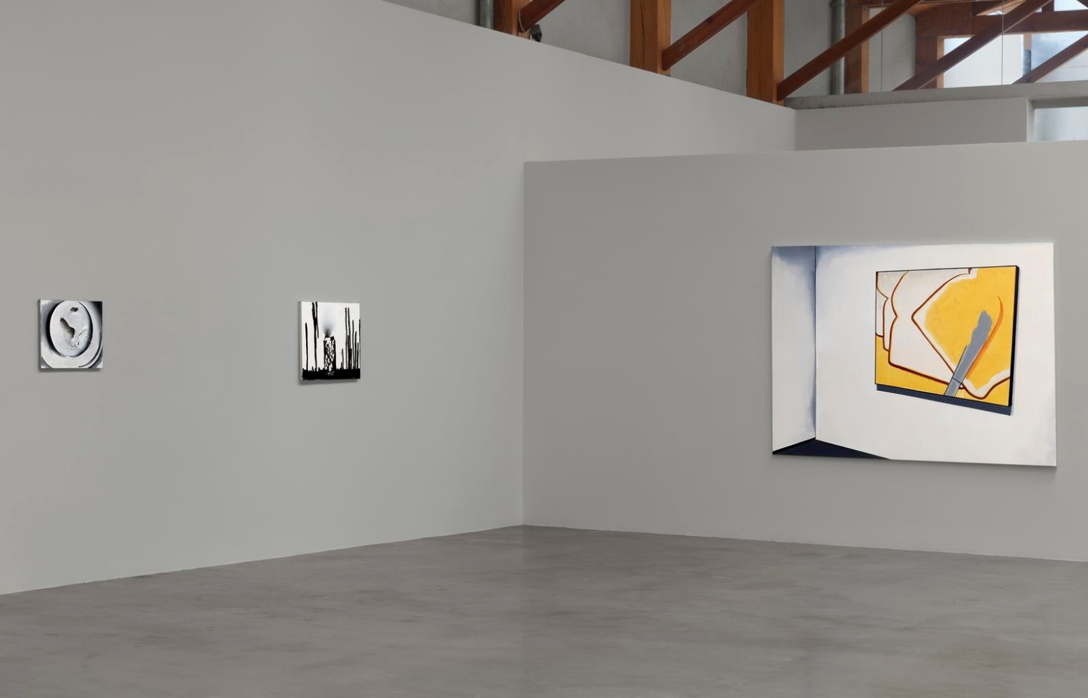 	wilhelm sasnal, installation view, 2011
