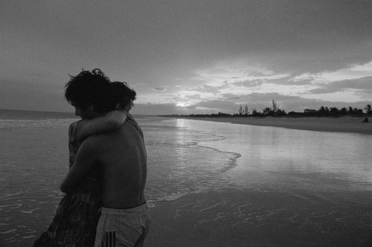 mauro restiffe, 2020, 2020