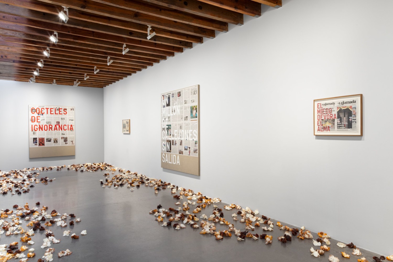 installation view&amp;nbsp;remains of the day: allora &amp;amp; calzadilla and rirkrit tiravanija, project room kurimanzutto mexico city, 2025. photo gerardo landa


&amp;nbsp;
