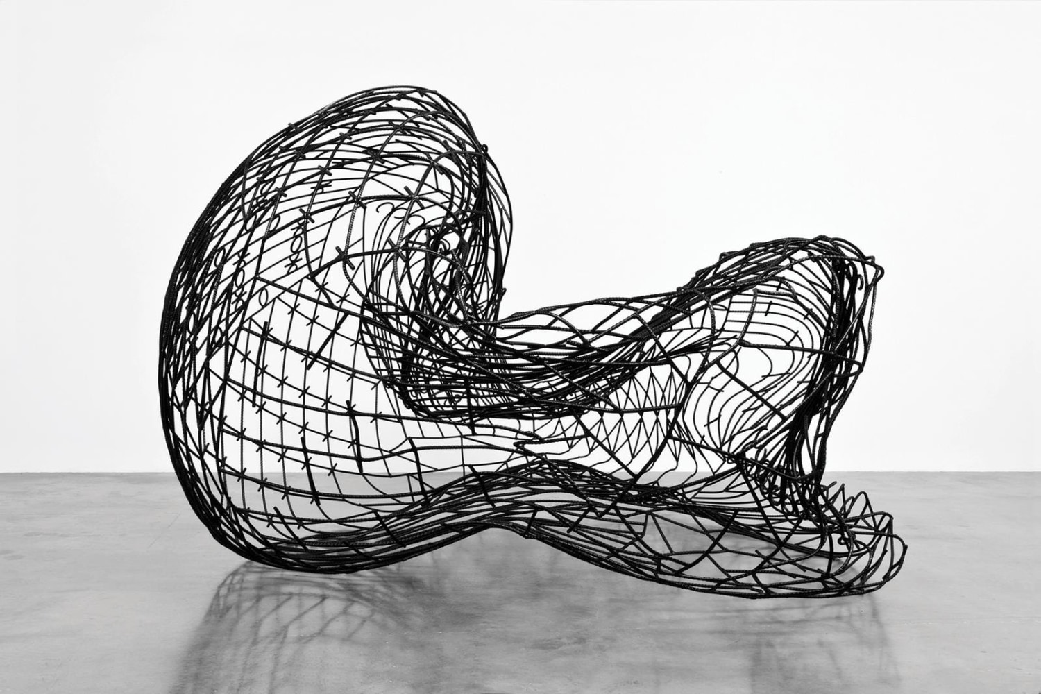 the fence 1, 2011

painted rebar

66.14 x 164.96 x 102.36 in.

&amp;nbsp;

&amp;nbsp;