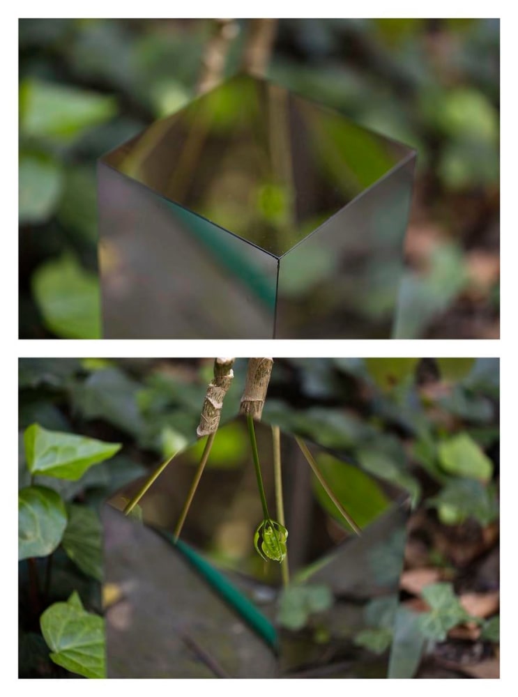 secretos: jard&amp;iacute;n 1, 2016

set of 4 ink-jet prints on cotton paper

11.8 x 17.7 in.&amp;nbsp;each