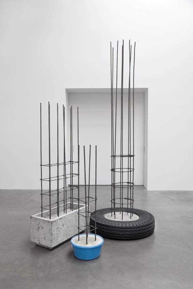 the seedlings, 2011

rubber, concrete, rebar, plastic

variable&amp;nbsp;dimensions&amp;nbsp;

&amp;nbsp;

&amp;nbsp;