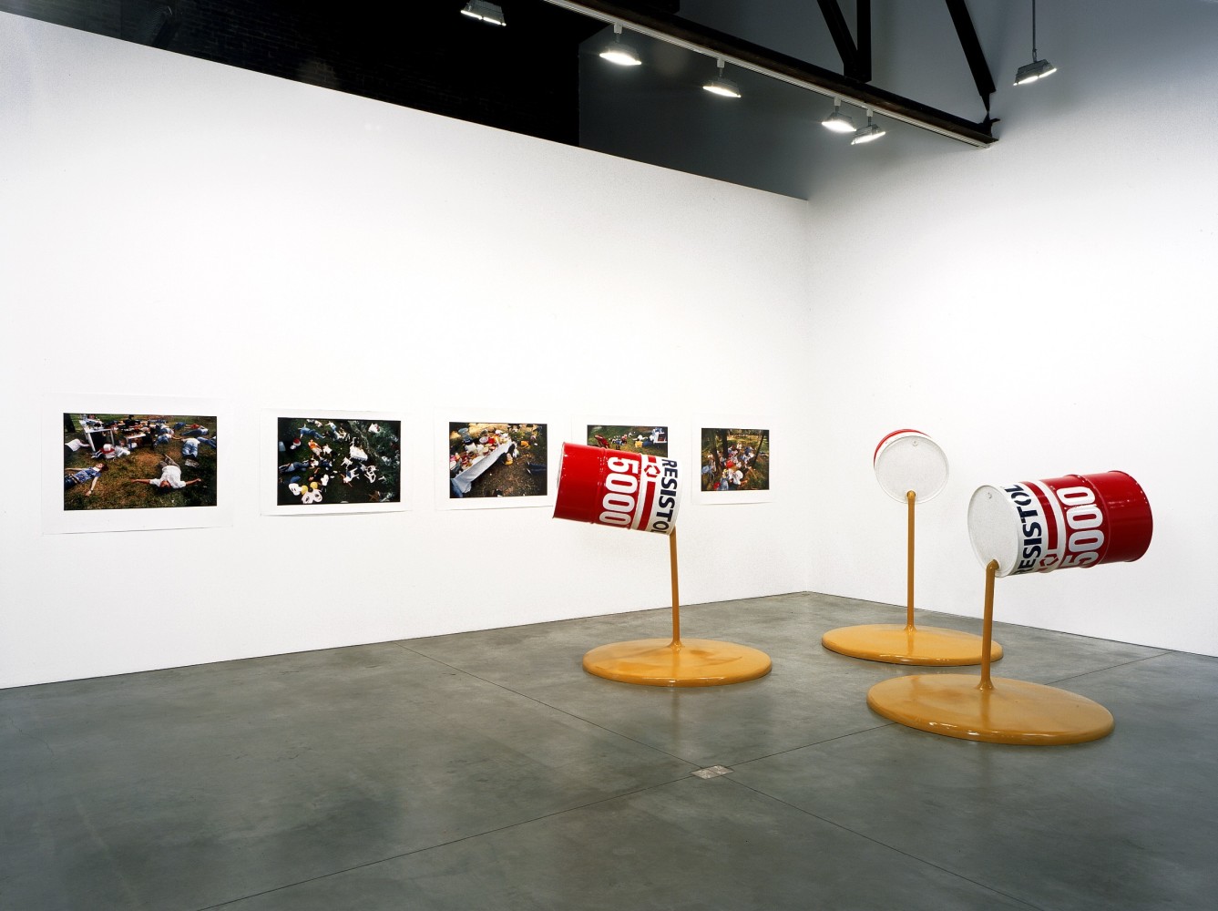 vista de instalaci&amp;oacute;n forcing forces of nature, andrea rosen gallery, 2003