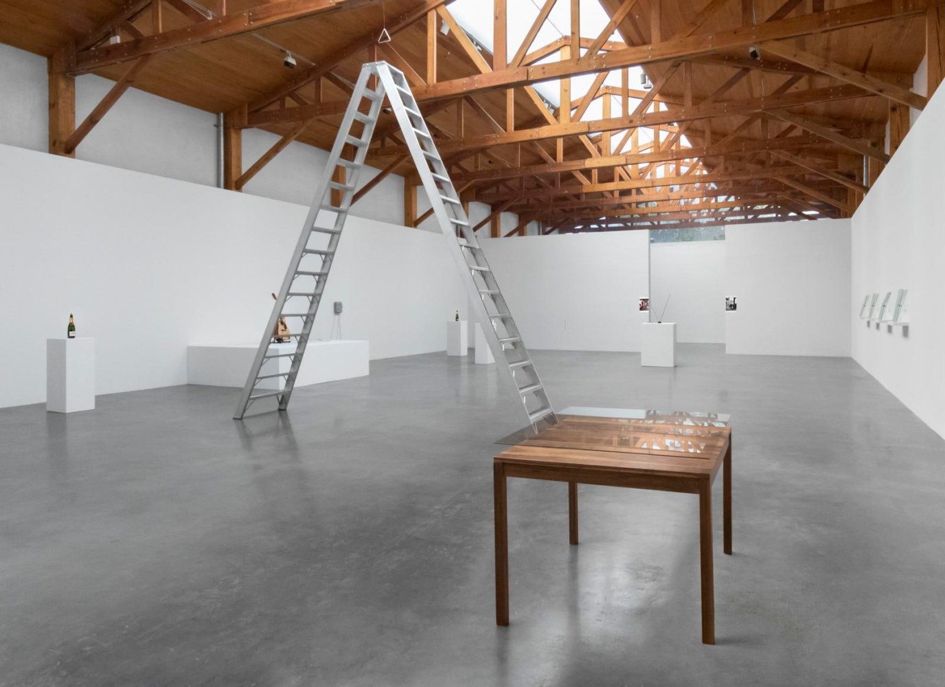 	fernando ortega, installation view, 2013