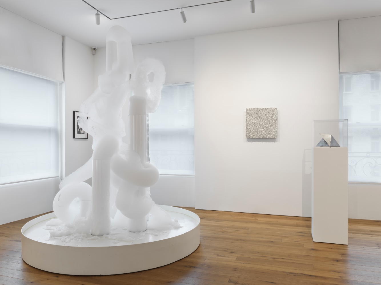 signals: if you like i shall grow (part ii), kurimanzutto,&amp;nbsp;new york, 2018