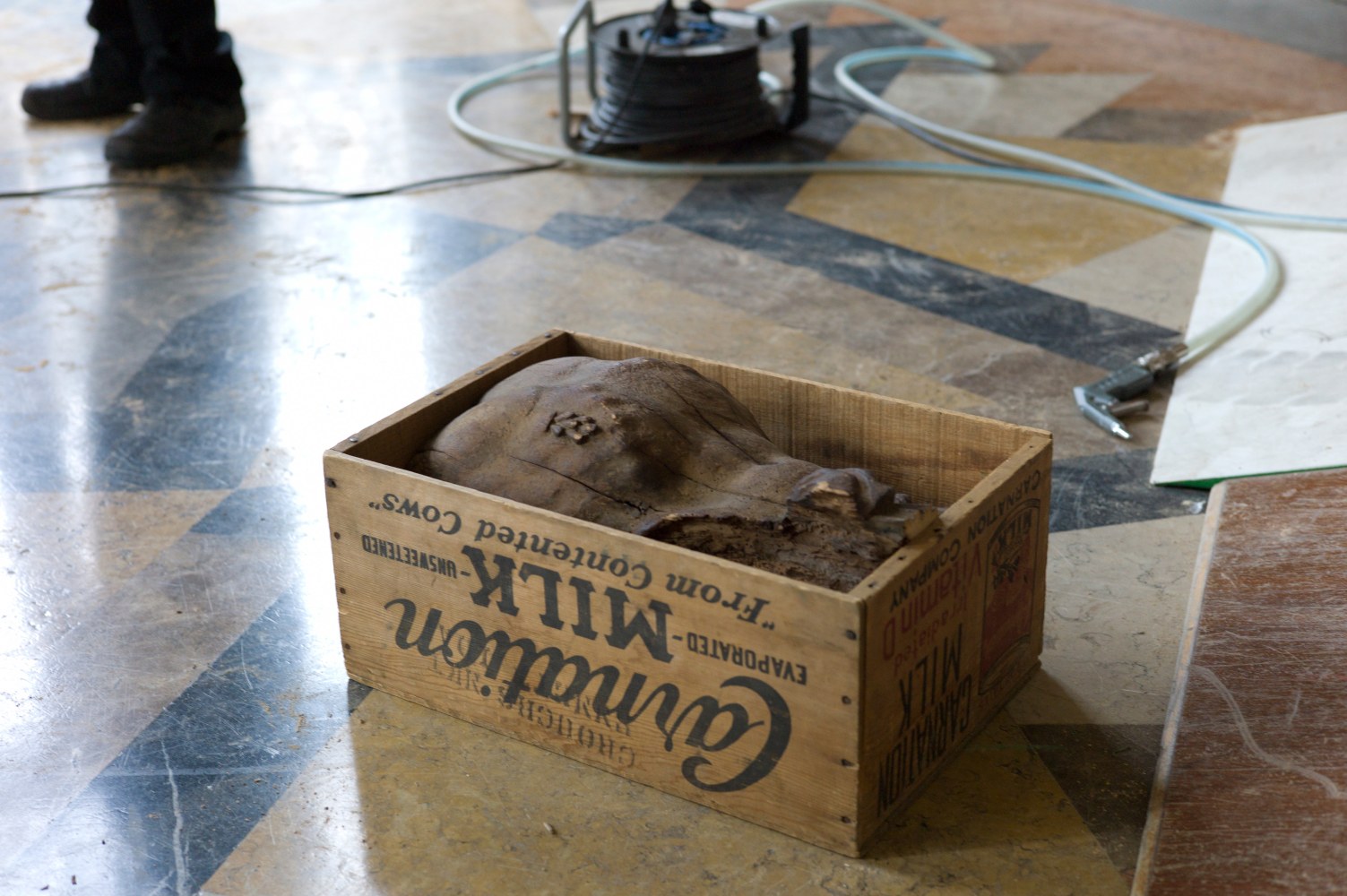 	beauty queen (en proceso), 2013	&amp;nbsp;