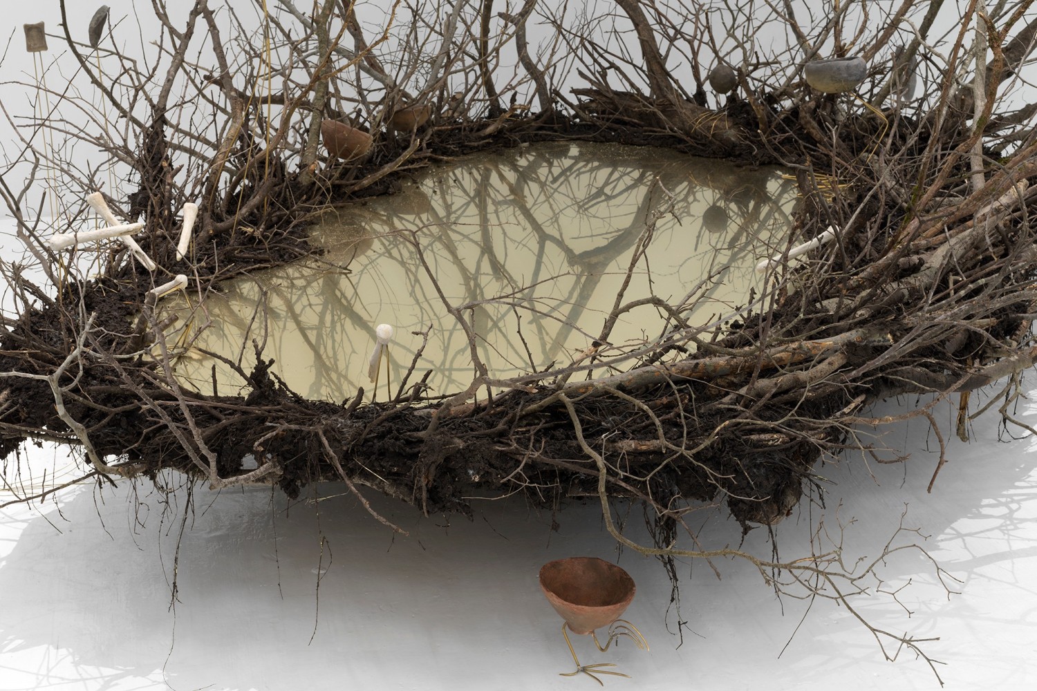 ru_cuculus canorum, limosa limosa, nyctanassa violacea, riparia riparia, scolopax mira, 2017

madera, tierra, pegamento, lat&amp;oacute;n, resina