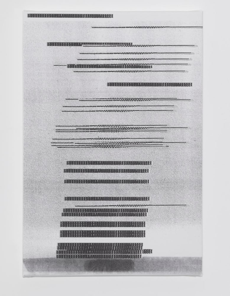 untitled, 2011

inkjet print on canvas

18.5 x 12.99 in.

&amp;nbsp;

&amp;nbsp;