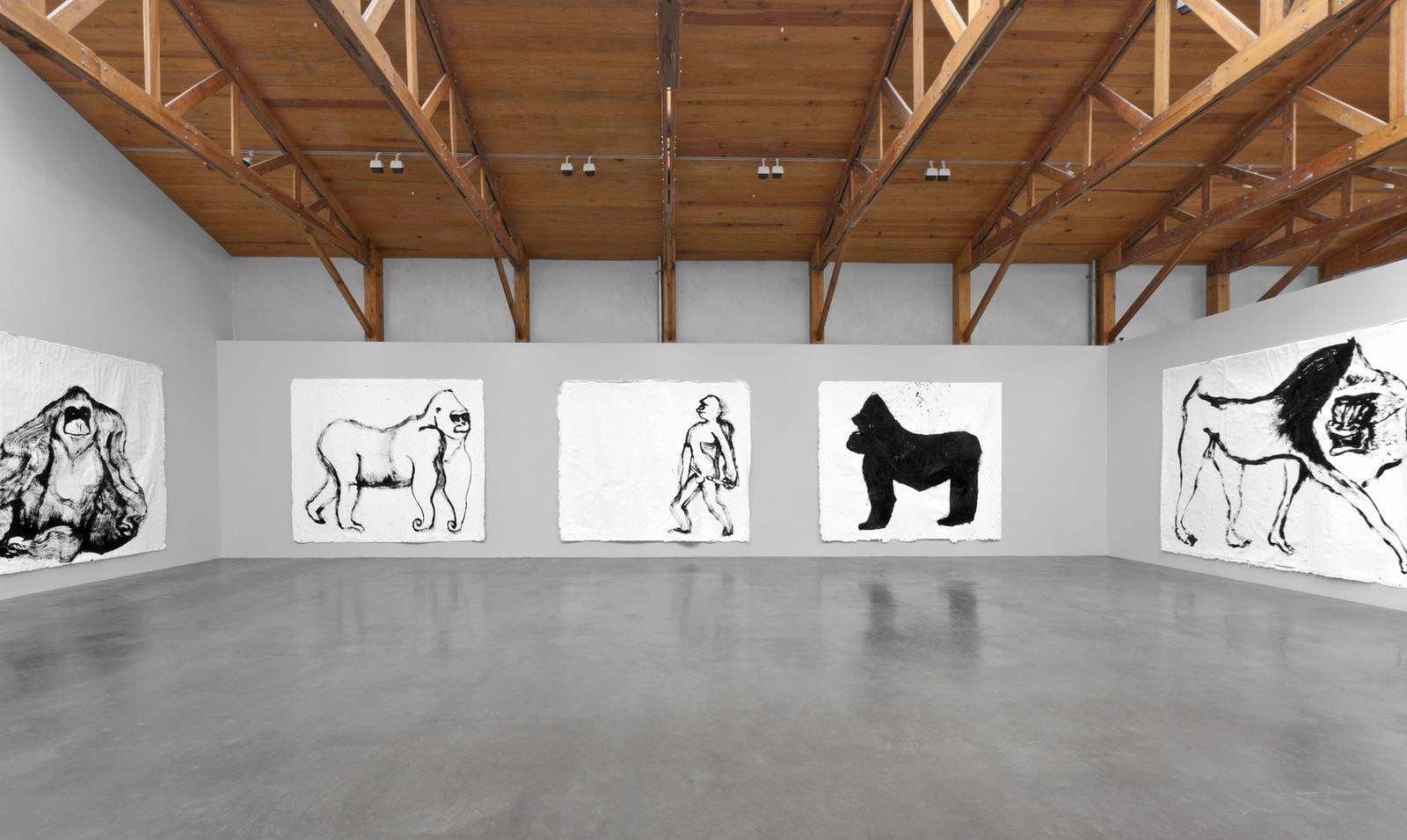 	nuestra imagen actual, kurimanzutto, mexico city, 2012