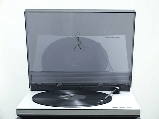 it&amp;#39;s no game, 2008

video

2:30&amp;nbsp;min&amp;nbsp;

&amp;nbsp;

&amp;nbsp;