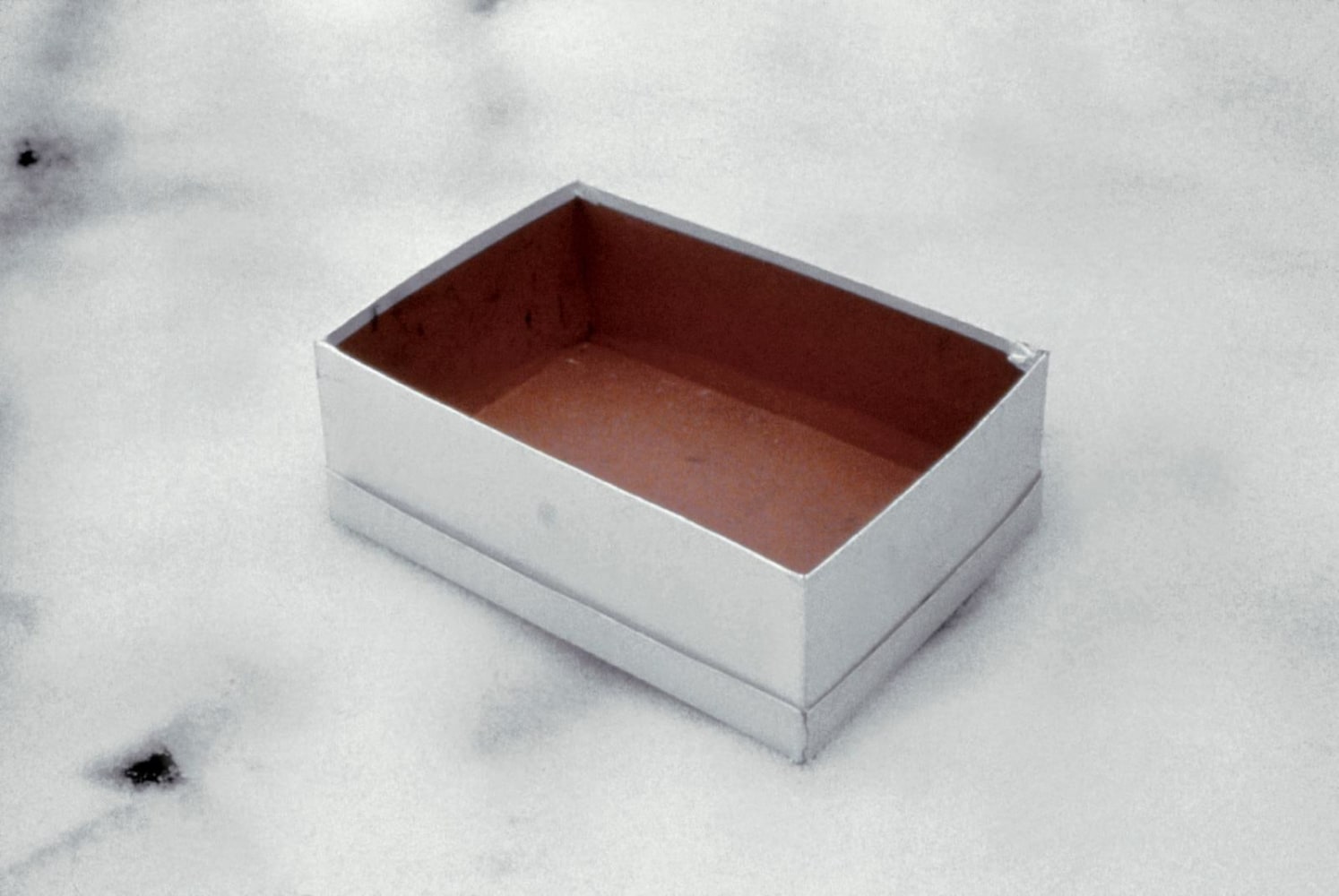 	caja de zapatos vac&amp;iacute;a, 1993	impresi&amp;oacute;n sobre gelatina de plata	40.6 x 50.8 cent&amp;iacute;metros	parte de nuevas fotograf&amp;iacute;as, kurimanzutto, ciudad de m&amp;eacute;xico, 2002
