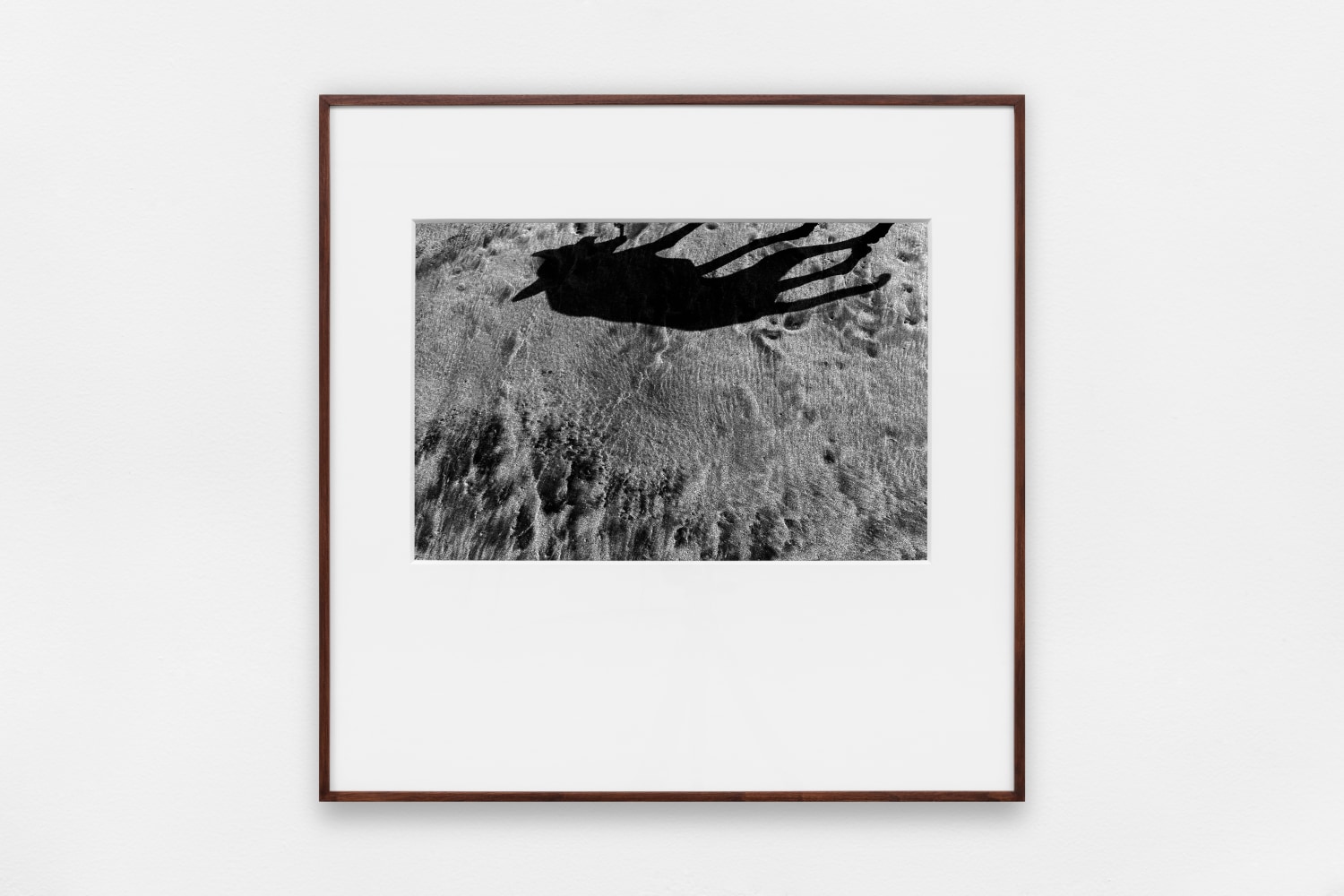 miguel calder&amp;oacute;n, buenavista, guerrero, abril 2020 en siembra, kurimanzutto, ciudad de m&amp;eacute;xico, 2020